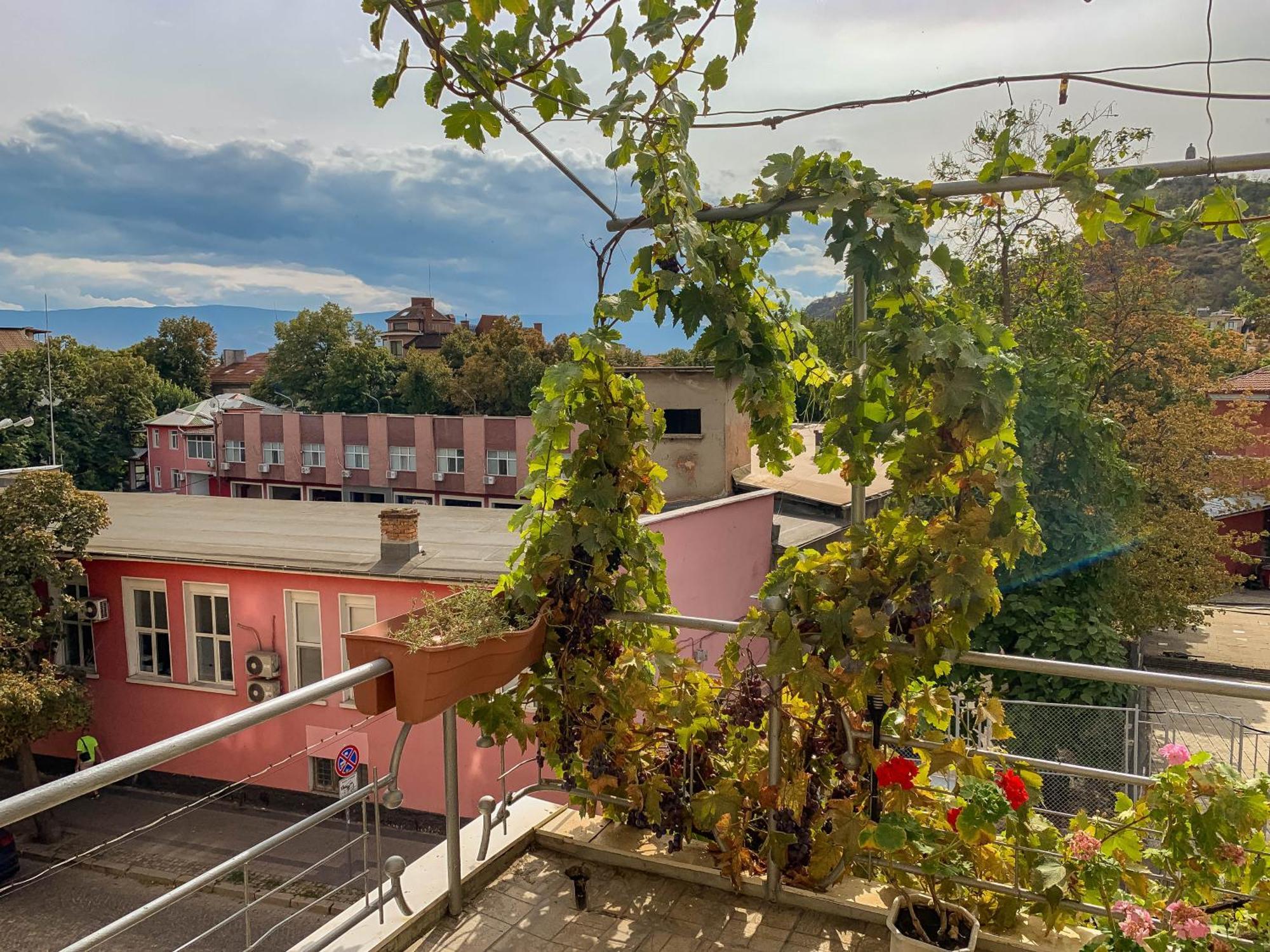 2-Bedroom Flat - Sunny Balcony 普罗夫迪夫 外观 照片