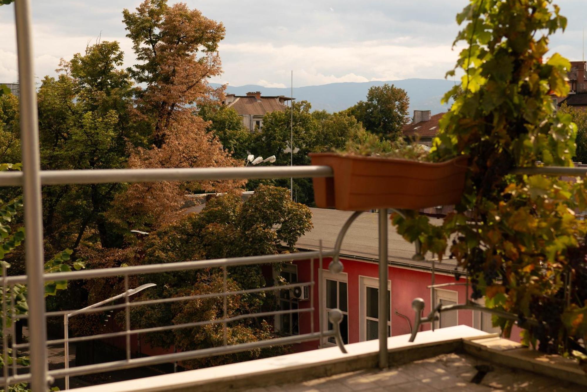 2-Bedroom Flat - Sunny Balcony 普罗夫迪夫 外观 照片
